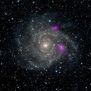 Black Holes in IC 342